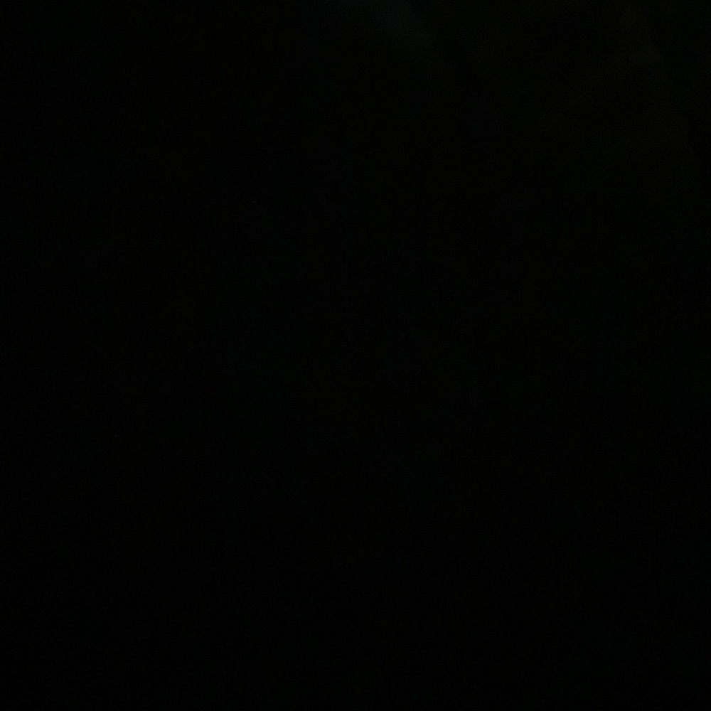 Meet your Posher, Aurelia